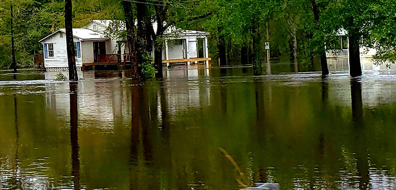 Hurricane Florence